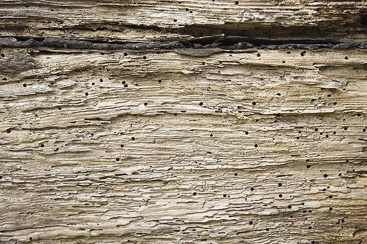  signalen-boktor-in-huis